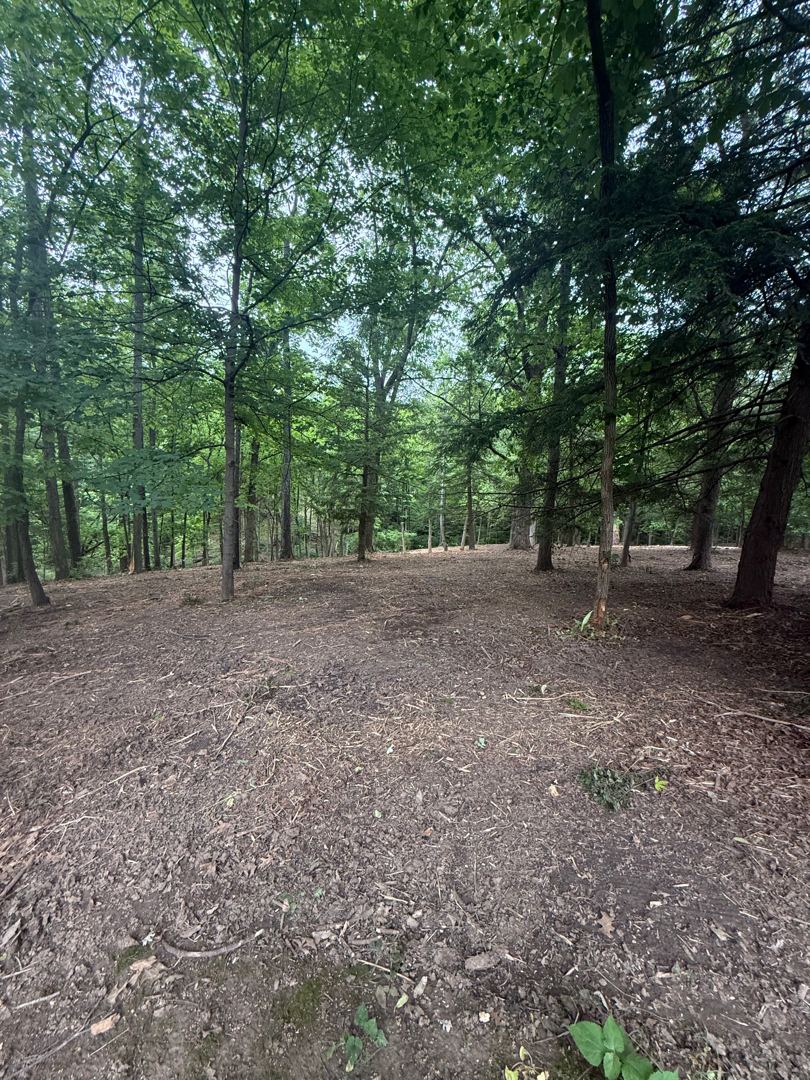 Cleared Ohio property after forestry mulching and brush removal